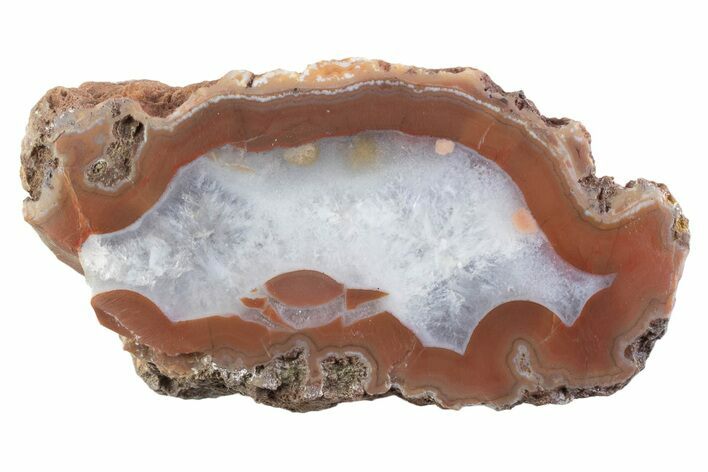 Polished Banded Agate Nodule Half - Bou Hamza, Morocco #373297